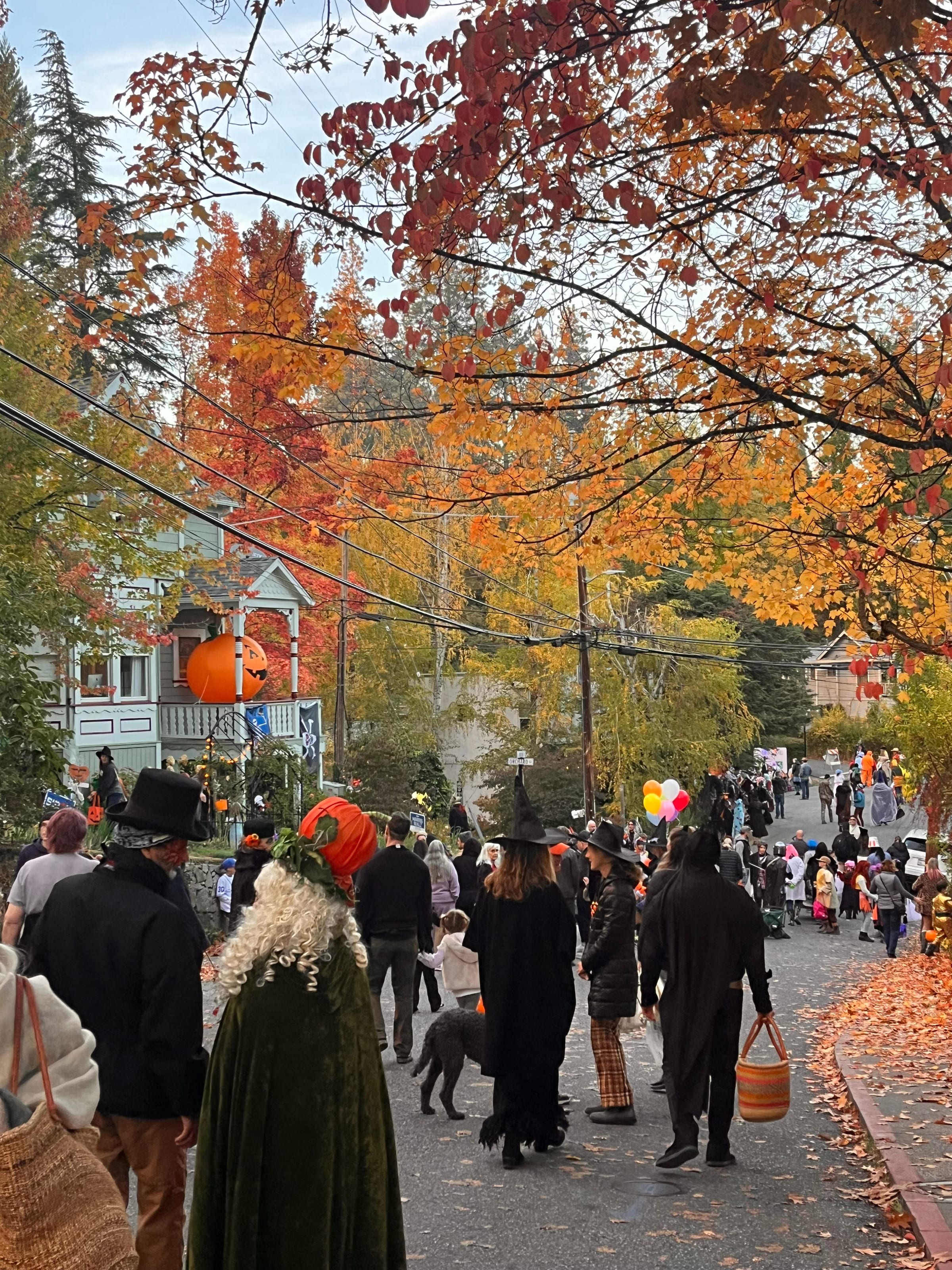 Decorated Victorian houses on East Broad Street lit up for Halloween in Nevada City